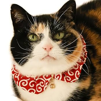 猫の寅さん専用 猫の寅さん 専用 猫の寅さん専用 ZX-190 公式限定フリースポーチ